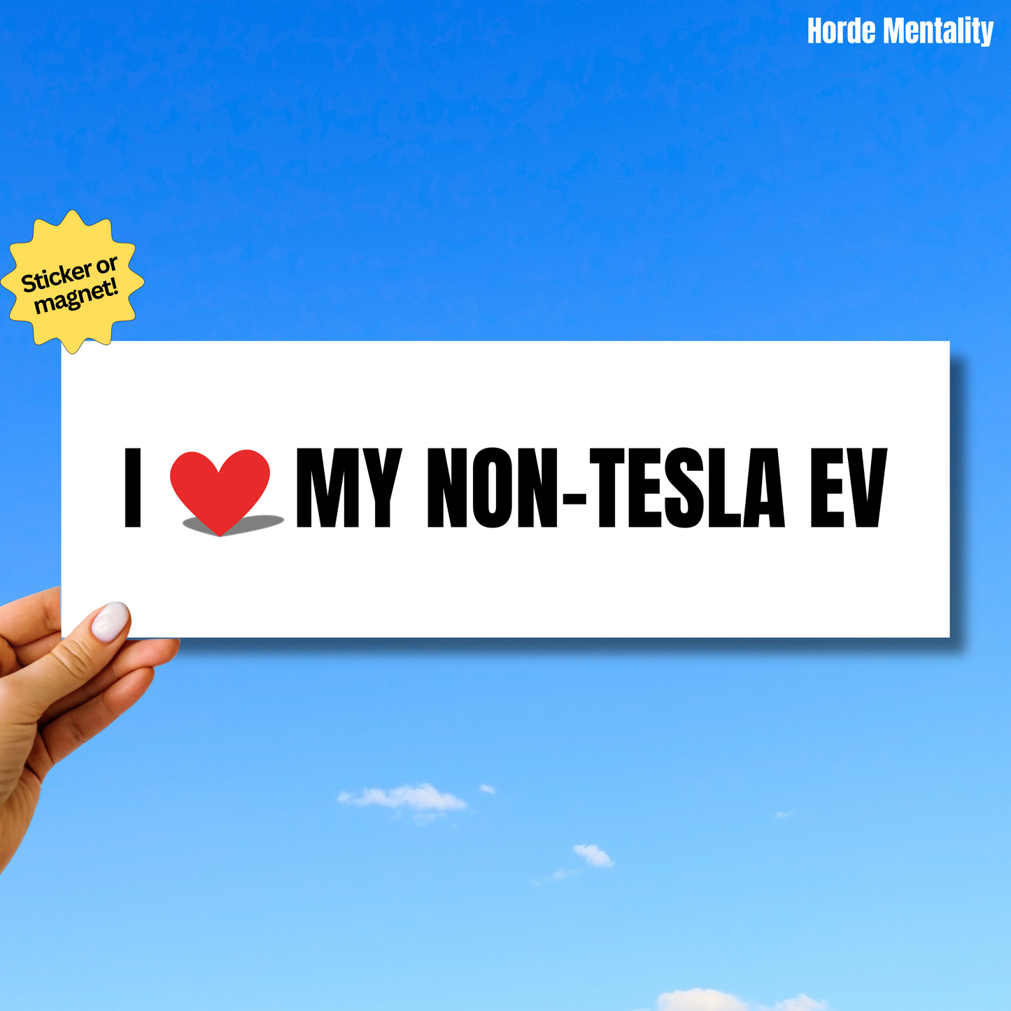 I Love My Non-Tesla EV