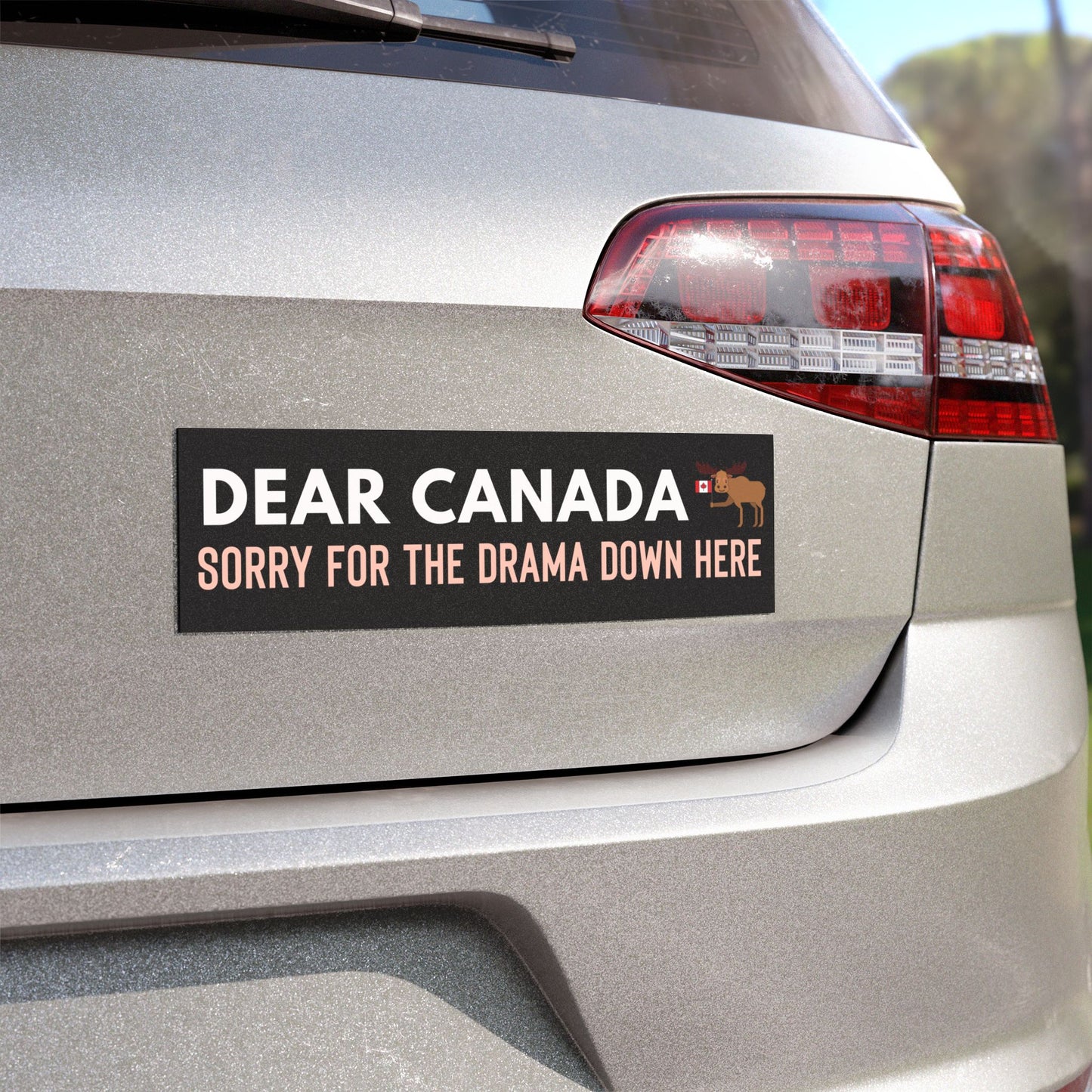 Dear Canada Sorry for the Drama Down Here